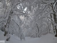 2017-12-29 V. del Morretano 023